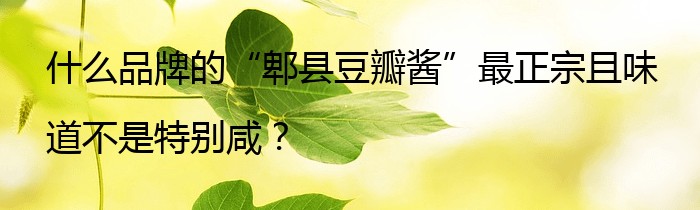 什么品牌的“郫县豆瓣酱”最正宗且味道不是特别咸？