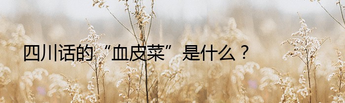 四川话的“血皮菜”是什么？
