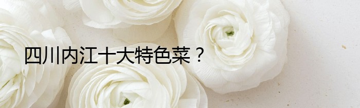 四川内江十大特色菜？