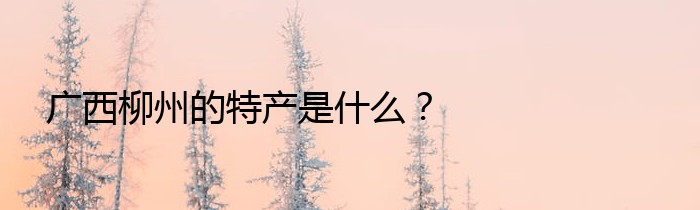 广西柳州的特产是什么？