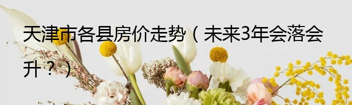 天津市各县房价走势（未来3年会落会升？）
