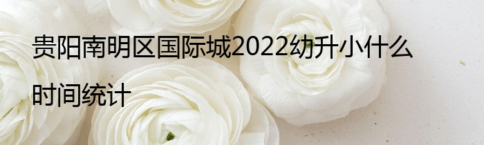 贵阳南明区国际城2022幼升小什么时间统计