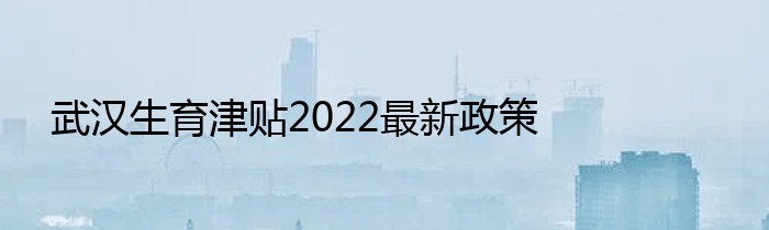 武汉生育津贴2022最新政策