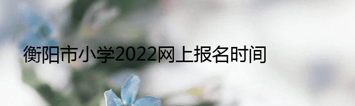 衡阳市小学2022网上报名时间