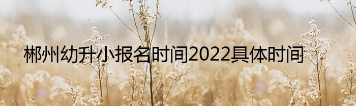 郴州幼升小报名时间2022具体时间
