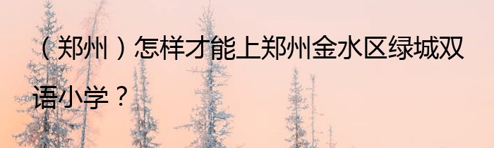（郑州）怎样才能上郑州金水区绿城双语小学？