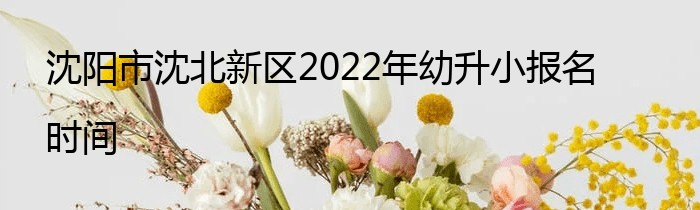 沈阳市沈北新区2022年幼升小报名时间