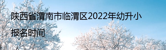 陕西省渭南市临渭区2022年幼升小报名时间
