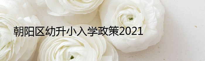 朝阳区幼升小入学政策2021