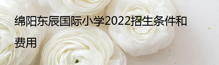 绵阳东辰国际小学2022招生条件和费用