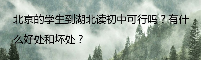 北京的学生到湖北读初中可行吗？有什么好处和坏处？