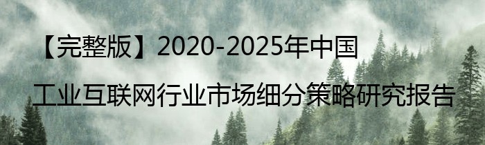 【完整版】2020-2025年中国工业互联网行业市场细分策略研究报告