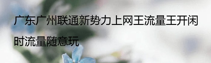 广东广州联通新势力上网王流量王开闲时流量随意玩