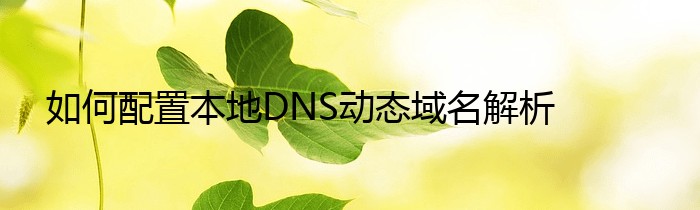 如何配置本地DNS动态域名解析