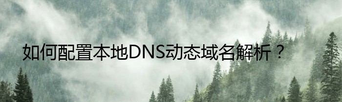 如何配置本地DNS动态域名解析？