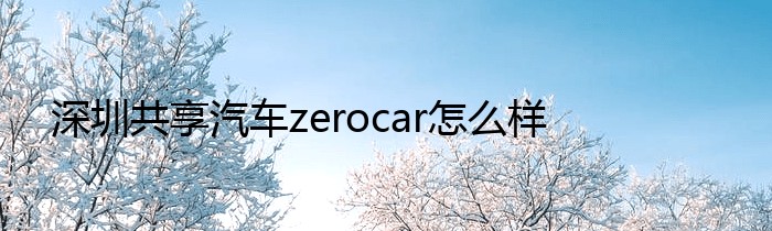 深圳共享汽车zerocar怎么样