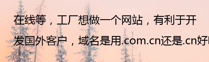 在线等，工厂想做一个网站，有利于开发国外客户，域名是用.com.cn还是.cn好呢?谢谢？