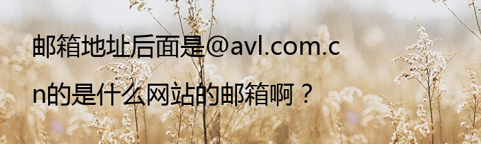 邮箱地址后面是@avl.com.cn的是什么网站的邮箱啊？