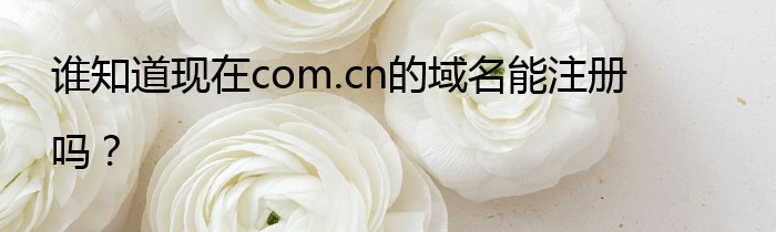 谁知道现在com.cn的域名能注册吗？