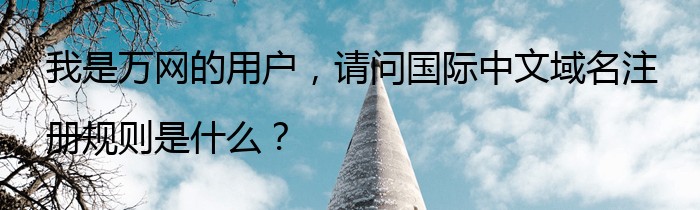 我是万网的用户，请问国际中文域名注册规则是什么？
