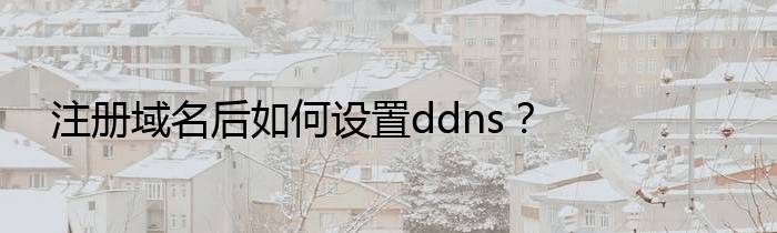 注册域名后如何设置ddns？