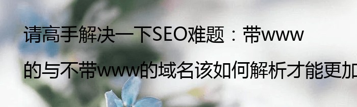 请高手解决一下SEO难题：带www的与不带www的域名该如何解析才能更加有利于SEO？