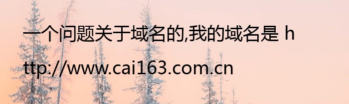 一个问题关于域名的,我的域名是 http://www.cai163.com.cn