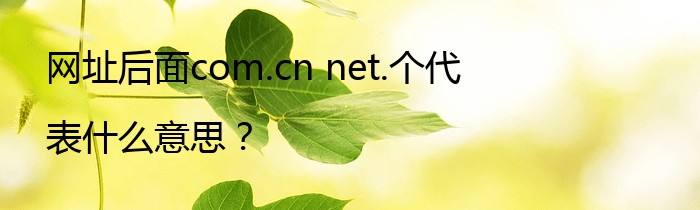 网址后面com.cn net.个代表什么意思？