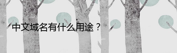 中文域名有什么用途？