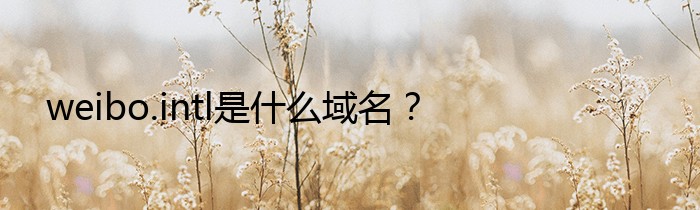 weibo.intl是什么域名？
