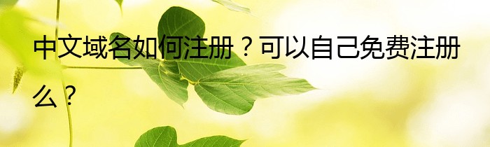 中文域名如何注册？可以自己免费注册么？