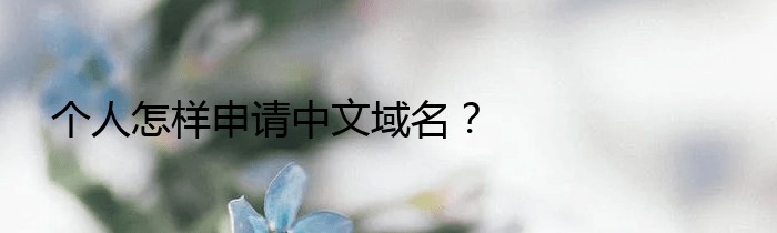 个人怎样申请中文域名？