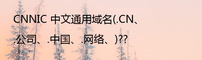 CNNIC 中文通用域名(.CN、.公司、.中国、.网络、)??