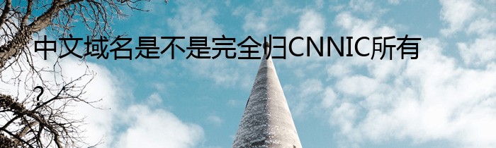 中文域名是不是完全归CNNIC所有?