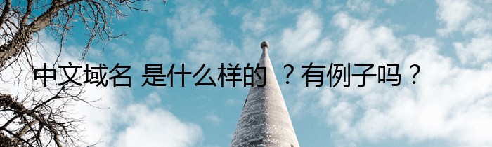 中文域名 是什么样的 ？有例子吗？