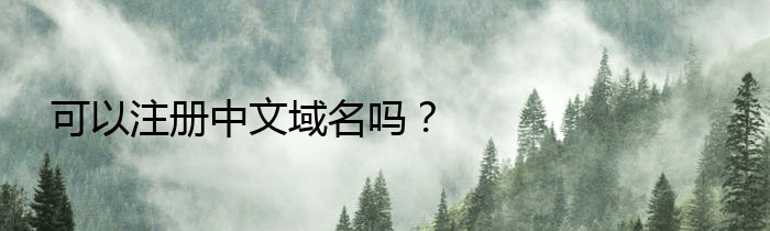 可以注册中文域名吗？