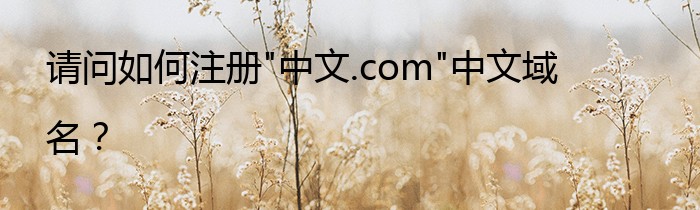 请问如何注册"中文.com"中文域名？