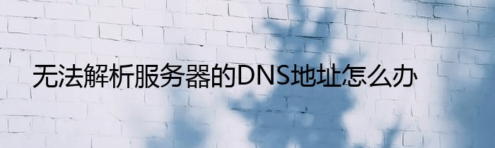 无法解析服务器的DNS地址怎么办