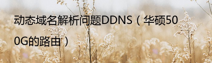 动态域名解析问题DDNS（华硕500G的路由）
