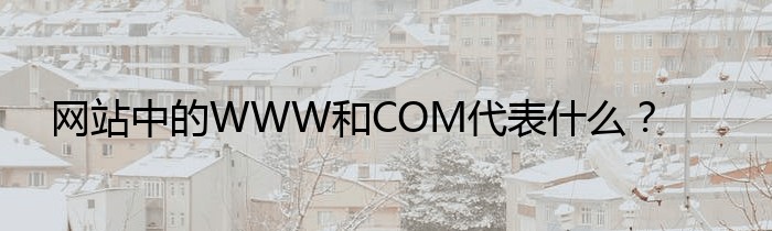 网站中的WWW和COM代表什么？