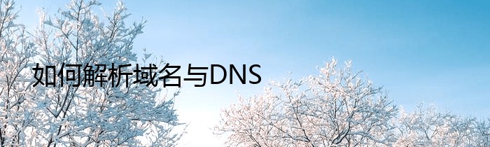 如何解析域名与DNS