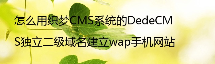 怎么用织梦CMS系统的DedeCMS独立二级域名建立wap手机网站