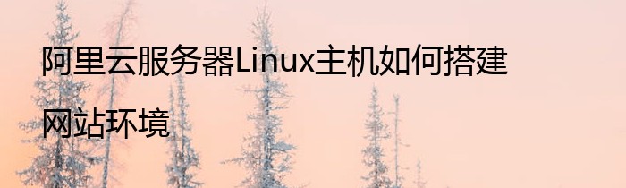 阿里云服务器Linux主机如何搭建网站环境