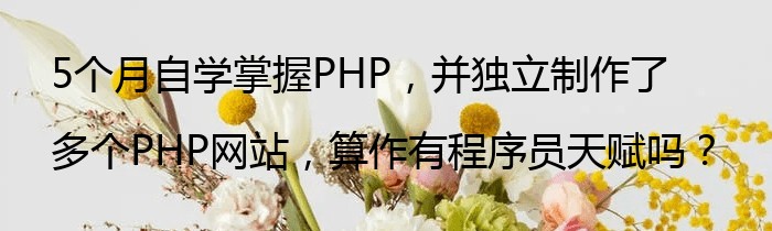 5个月自学掌握PHP，并独立制作了多个PHP网站，算作有程序员天赋吗？