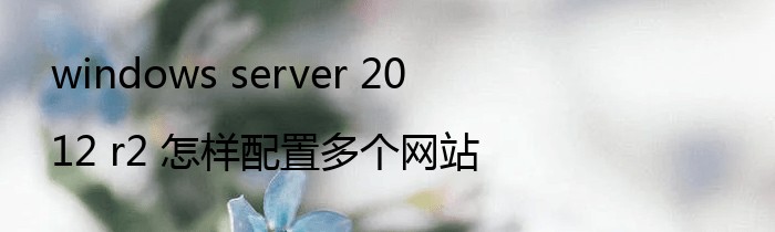 windows server 2012 r2 怎样配置多个网站