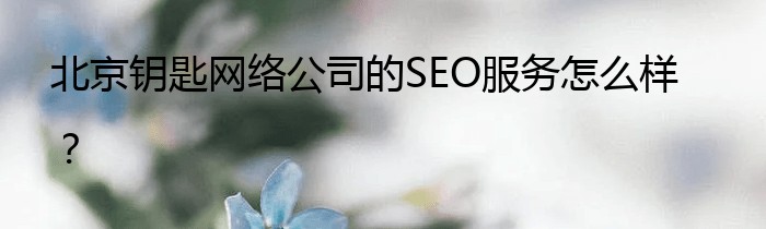 北京钥匙网络公司的SEO服务怎么样？