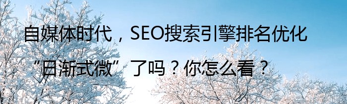 自媒体时代，SEO搜索引擎排名优化“日渐式微”了吗？你怎么看？