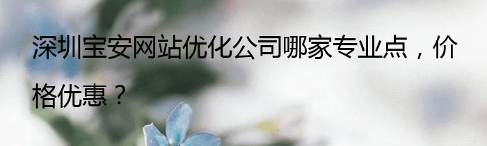 深圳宝安网站优化公司哪家专业点，价格优惠？