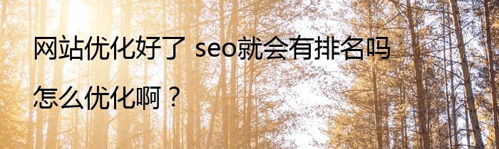 网站优化好了 seo就会有排名吗 怎么优化啊？