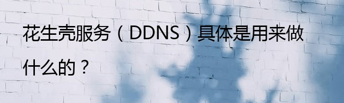 花生壳服务（DDNS）具体是用来做什么的？